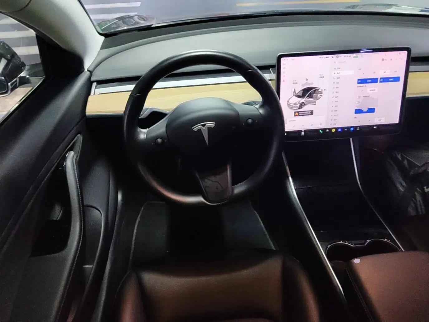 Tesla Model 3 2019 Long-Range Rear-Wheel-Drive Version — миниатюра 18