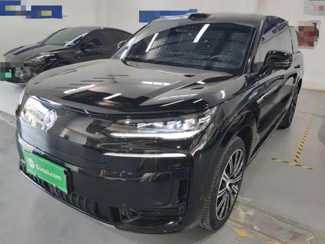 Denza N9 2025 Prestige Version