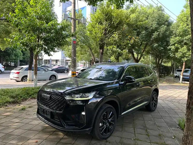 Haval H6 2021 Third Generation 2.0T Automatic Two-Wheel Drive Max Edition — миниатюра 1