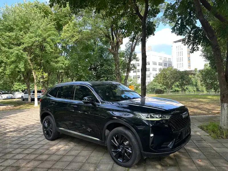 Haval H6 2021 Third Generation 2.0T Automatic Two-Wheel Drive Max Edition — миниатюра 3