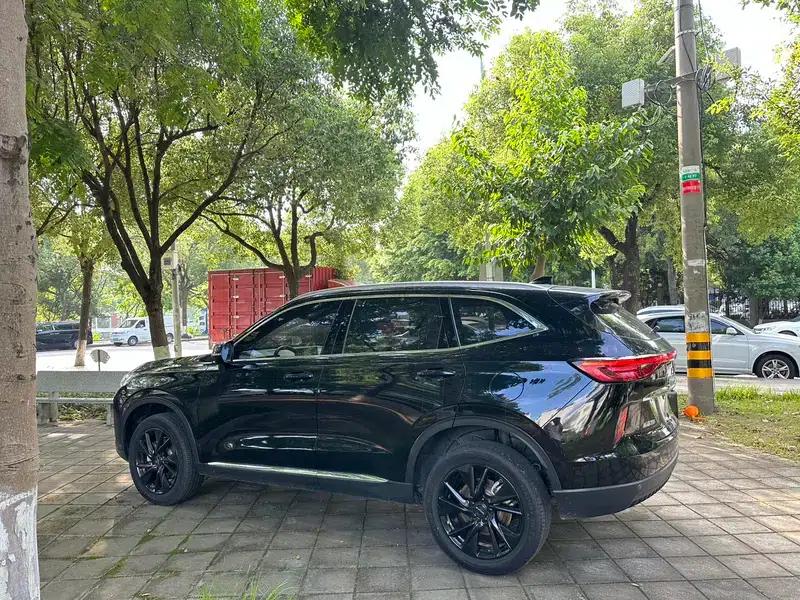 Haval H6 2021 Third Generation 2.0T Automatic Two-Wheel Drive Max Edition — миниатюра 5