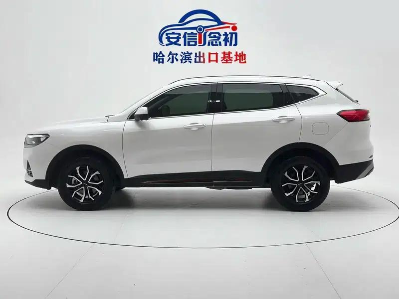 Haval H6 2021 National Trend Edition 1.5T Automatic Urban Edition — миниатюра 4