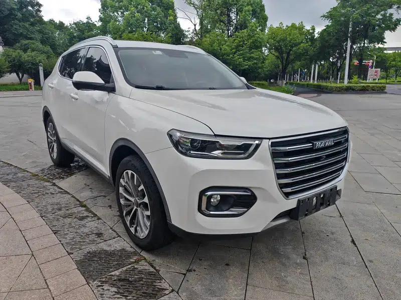 Haval H6 2020 1.5GDIT Automatic Platinum Champion Edition — миниатюра 3