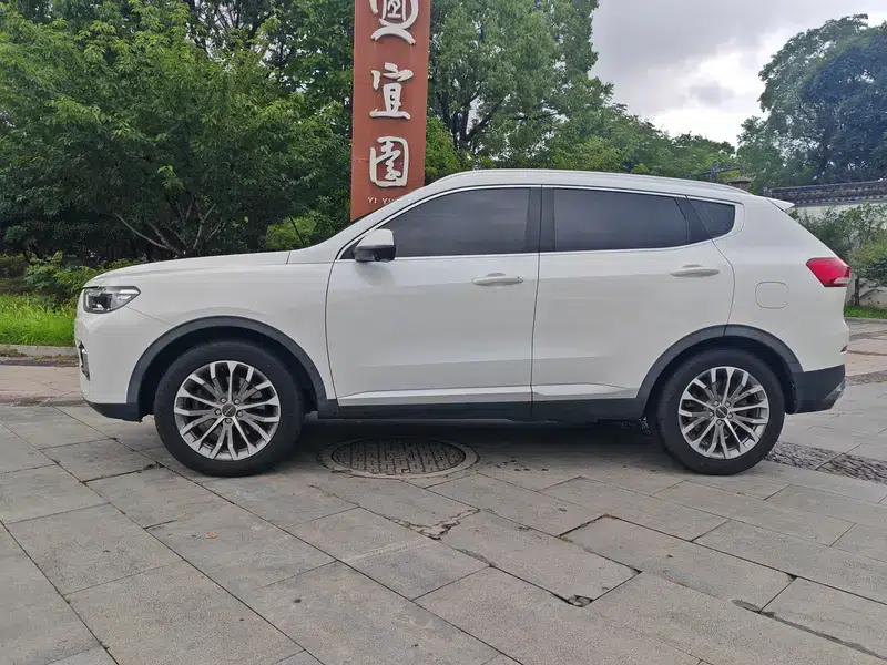 Haval H6 2020 1.5GDIT Automatic Platinum Champion Edition — миниатюра 4