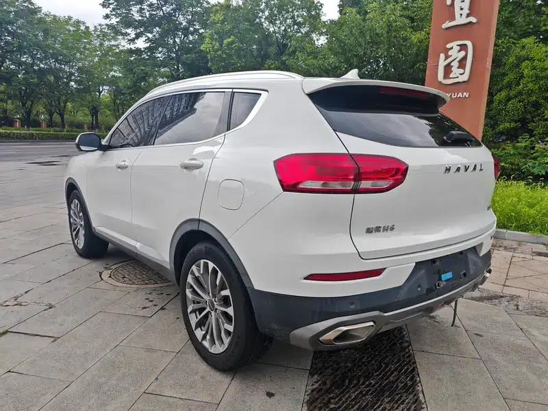 Haval H6 2020 1.5GDIT Automatic Platinum Champion Edition — миниатюра 5