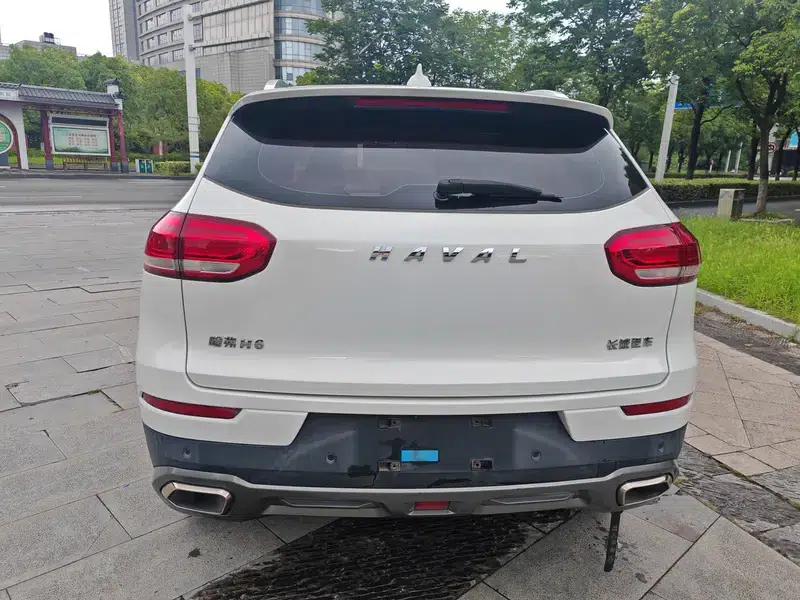 Haval H6 2020 1.5GDIT Automatic Platinum Champion Edition — миниатюра 6