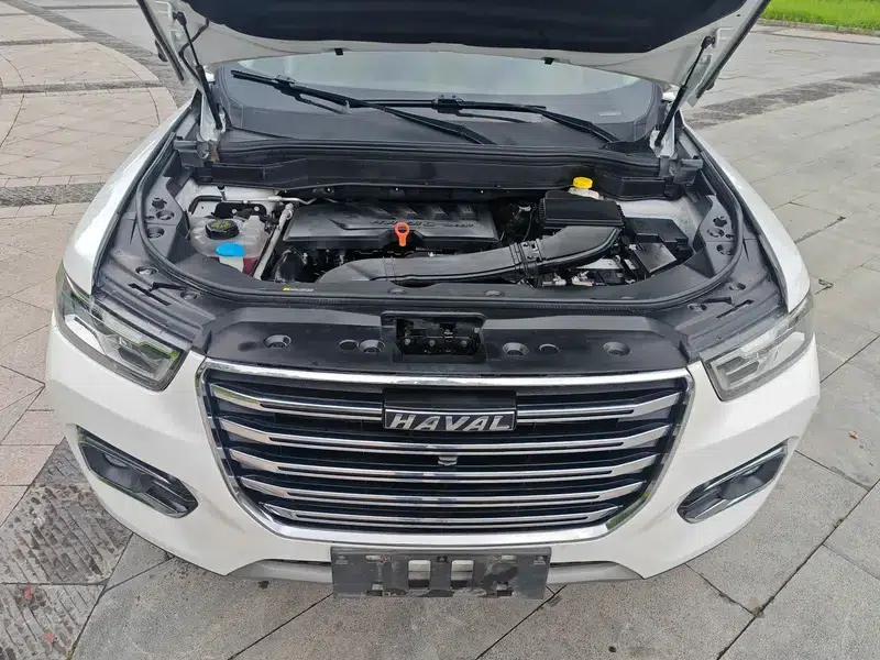 Haval H6 2020 1.5GDIT Automatic Platinum Champion Edition — миниатюра 8