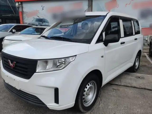 Wuling Hongguang PLUS 2020 1.5L Manual Standard Edition 5 Seats