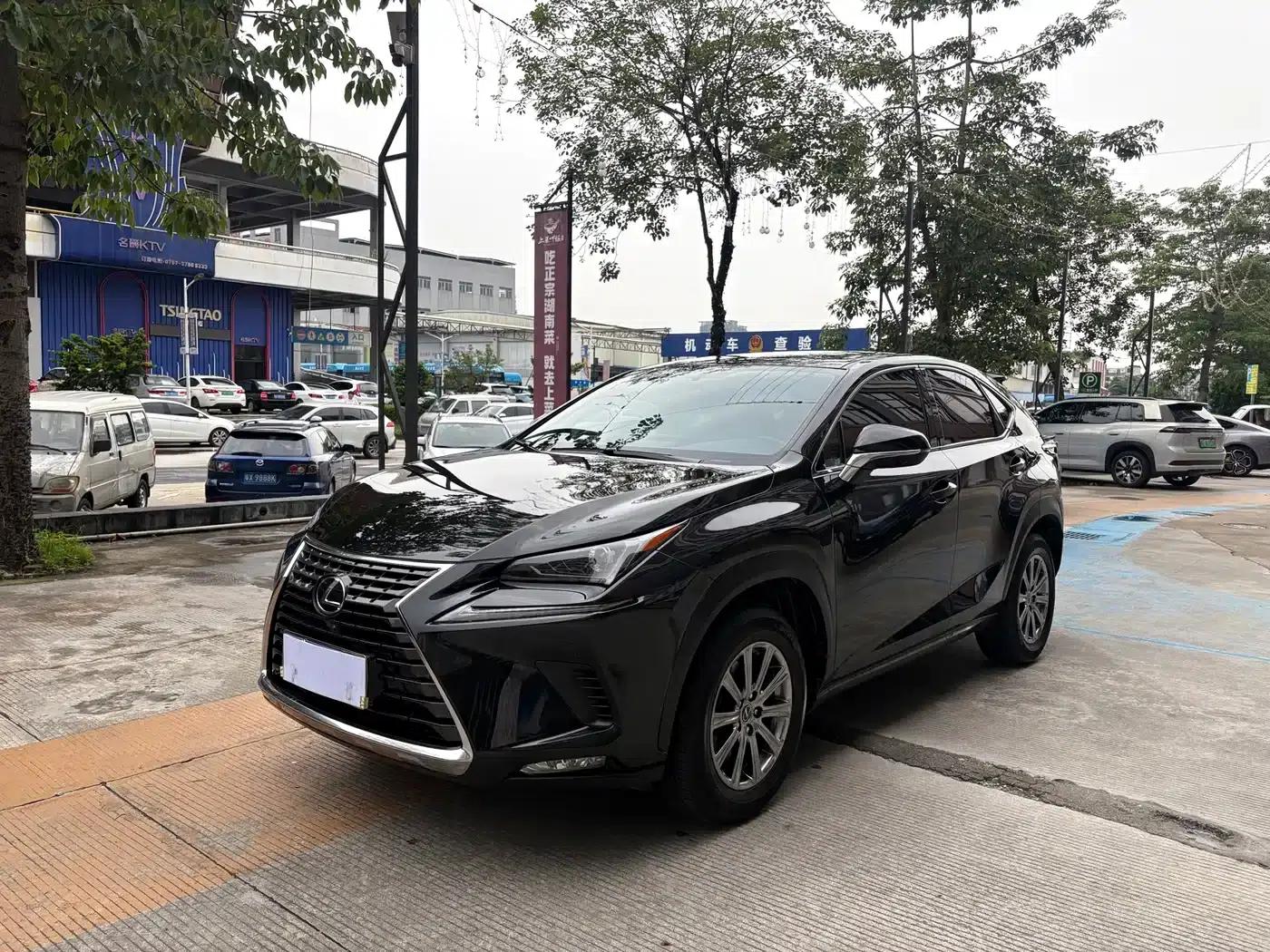 Lexus NX 2020 200 FWD Avant Edition (China VI Emission Standard) — миниатюра 1