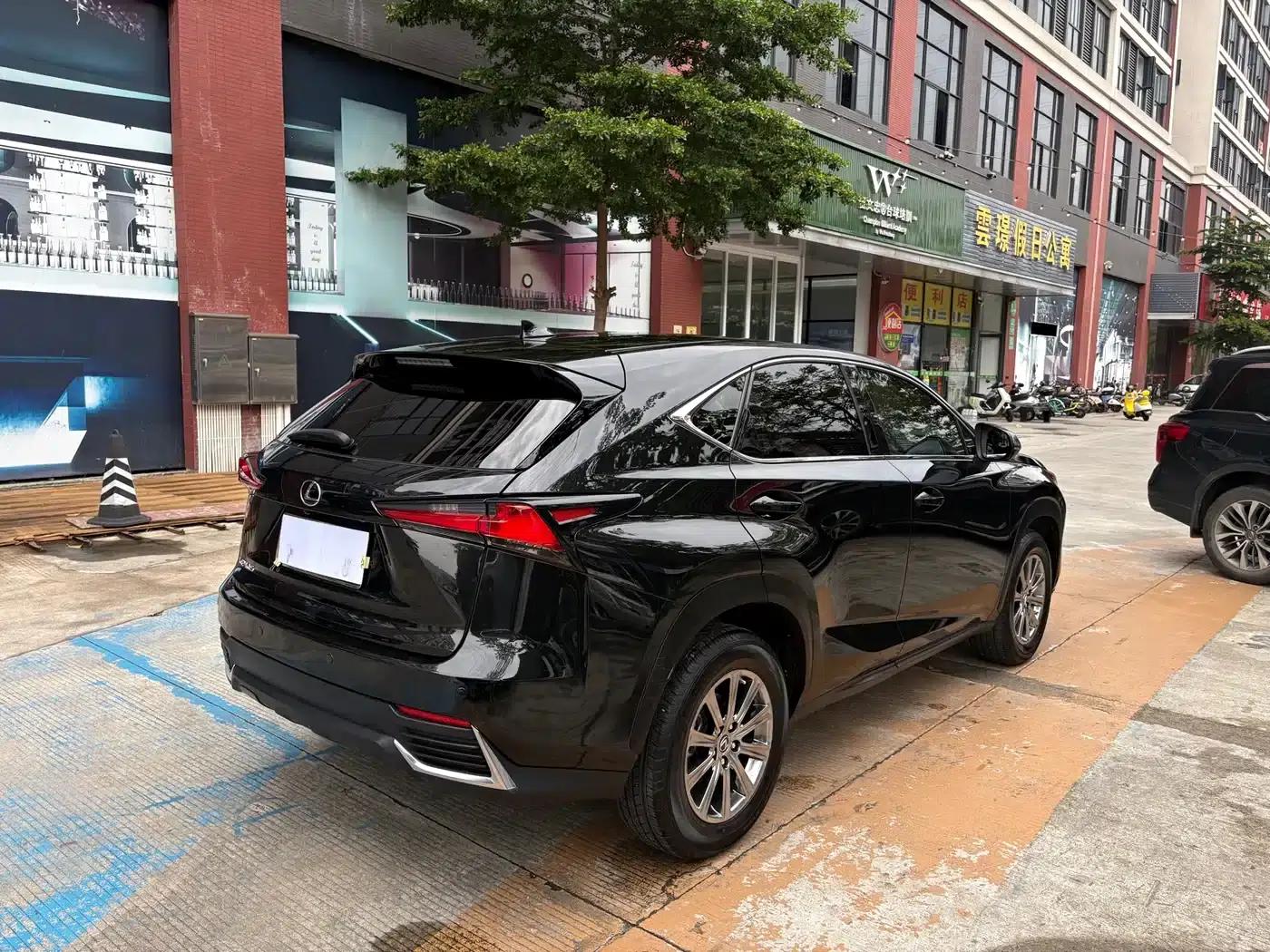 Lexus NX 2020 200 FWD Avant Edition (China VI Emission Standard) — миниатюра 5
