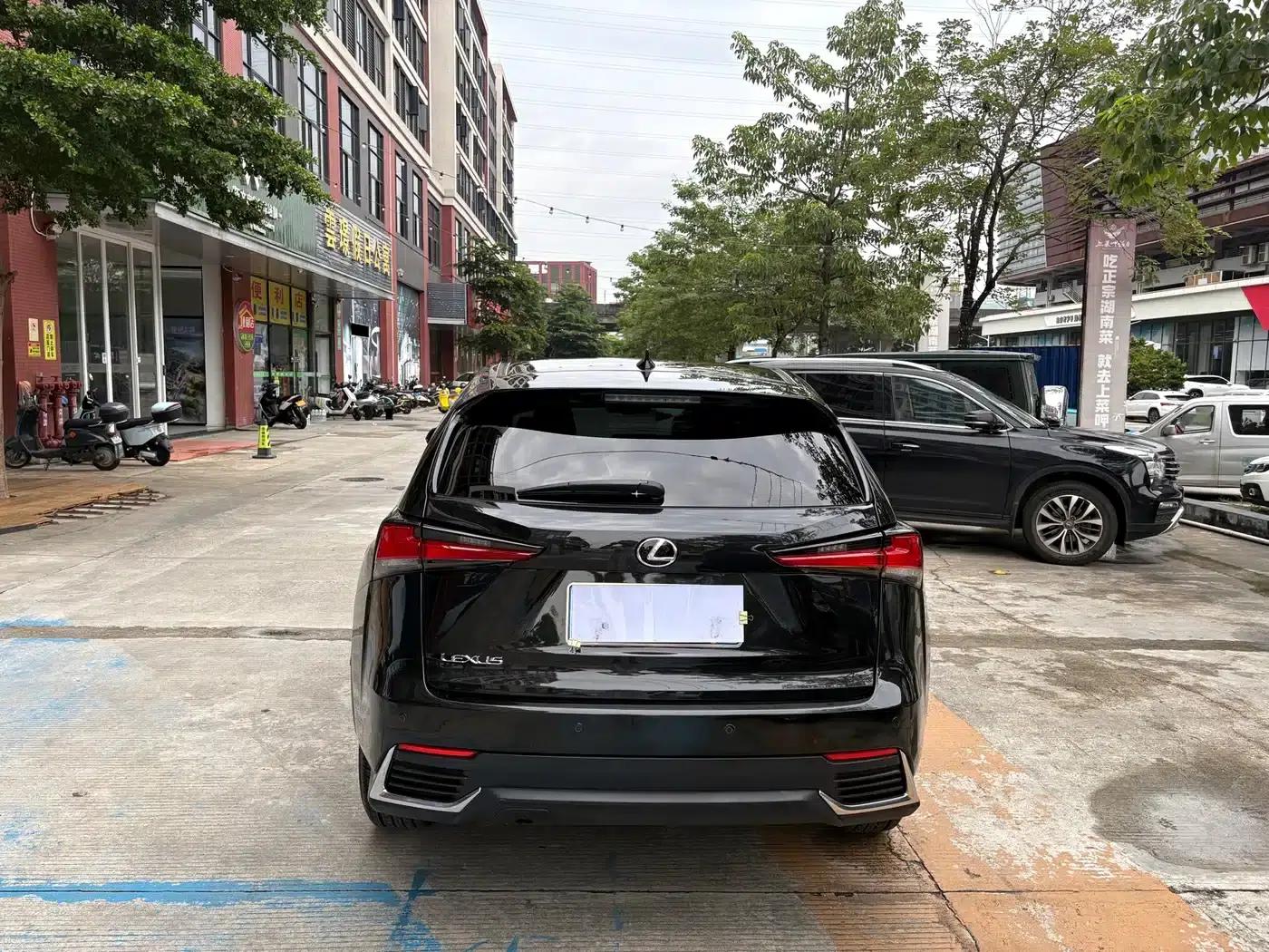 Lexus NX 2020 200 FWD Avant Edition (China VI Emission Standard) — миниатюра 6