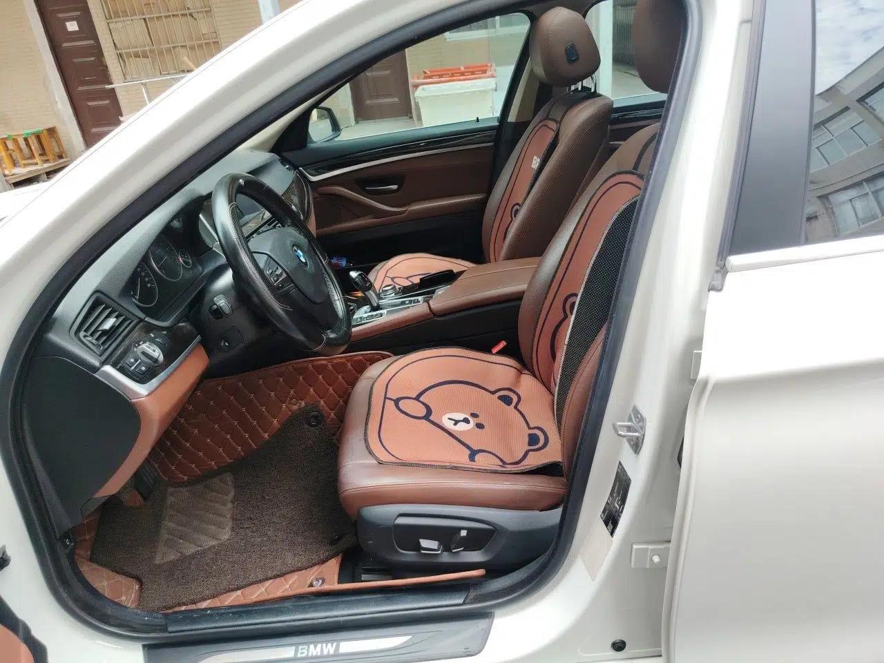 BMW 5 Series 2014 525Li Leading Model — миниатюра 15