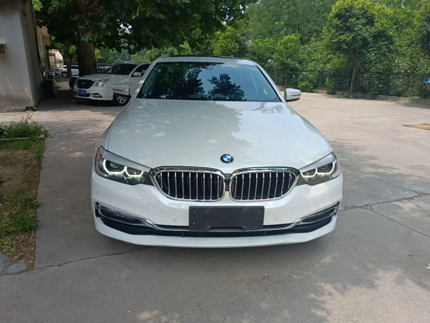 BMW 5 Series 2018 530Li Leading Edition Luxury Package — миниатюра 2