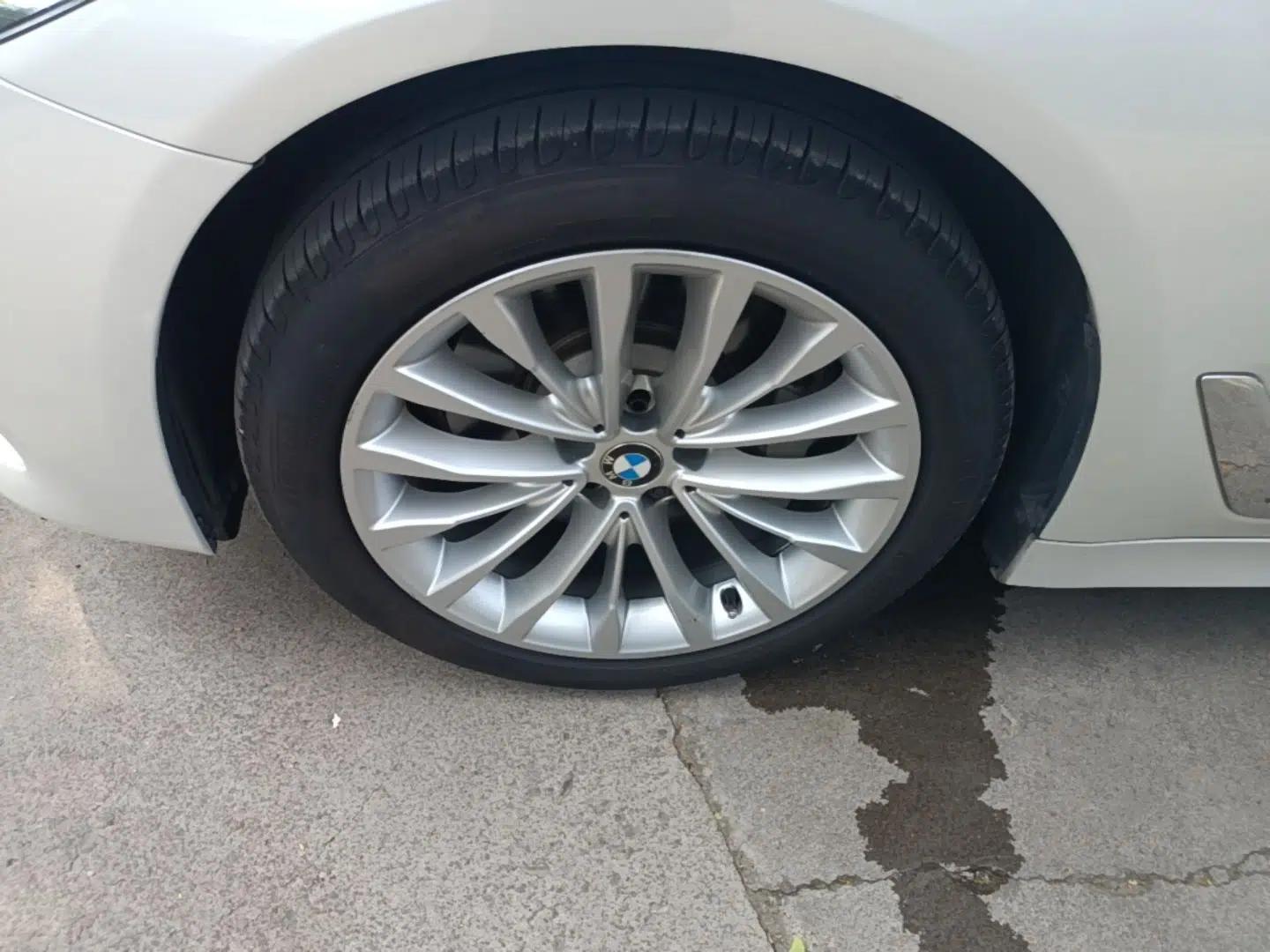 BMW 5 Series 2018 530Li Leading Edition Luxury Package — миниатюра 10