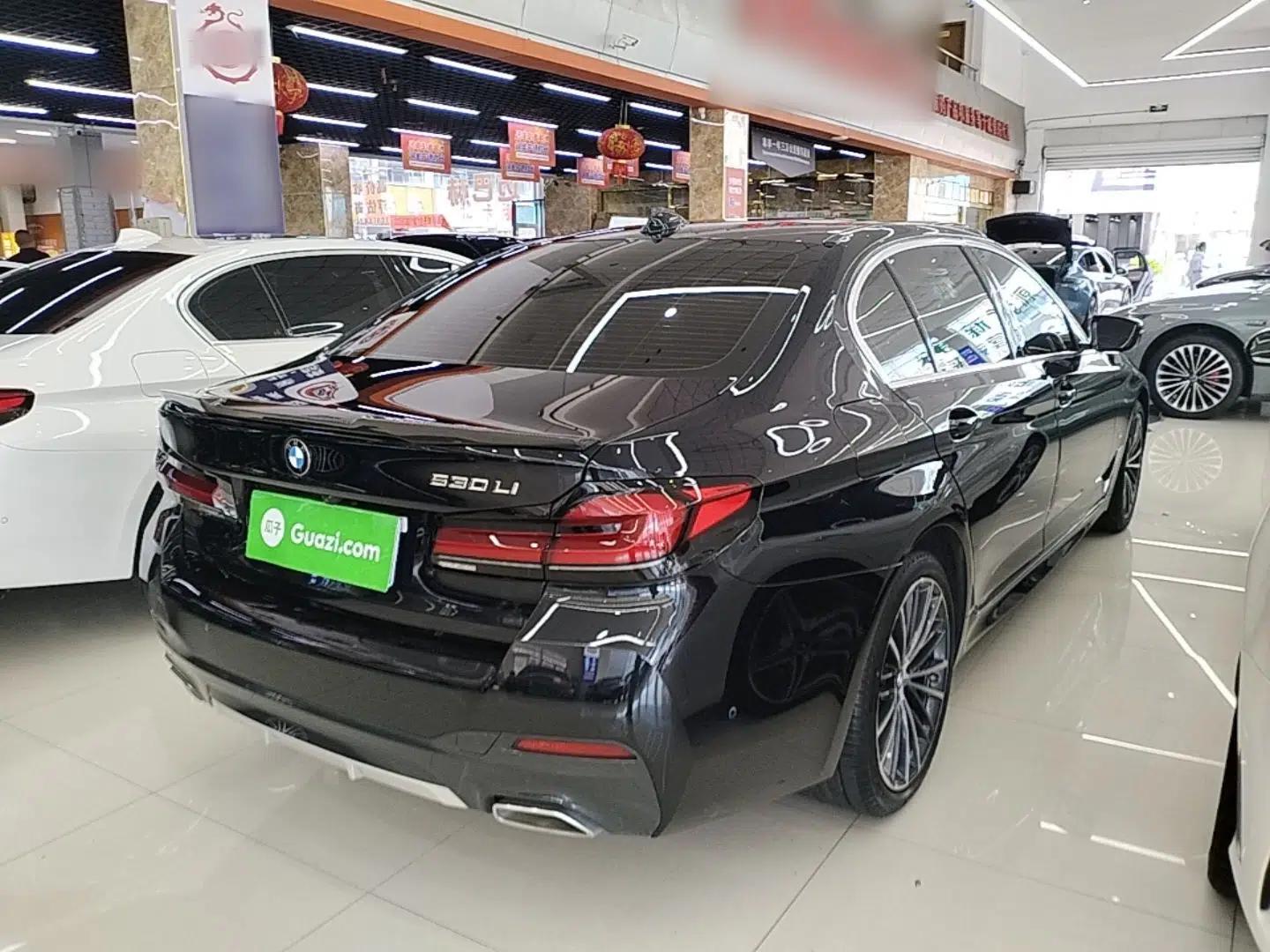 BMW 5 Series 2022 530Li Leading Model M Sport Package — миниатюра 6
