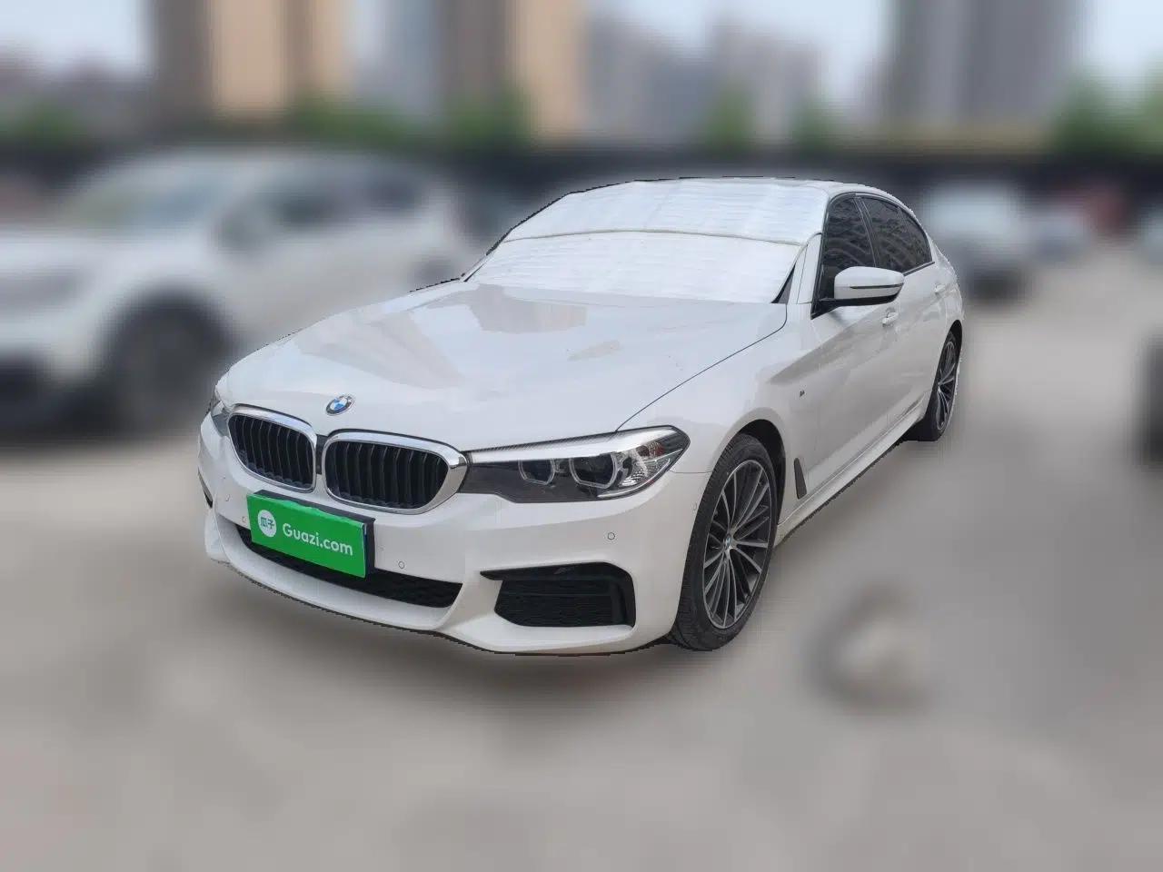 BMW 5 Series 2019 Facelifted 530Li Leading Edition M Sport Package — миниатюра 1