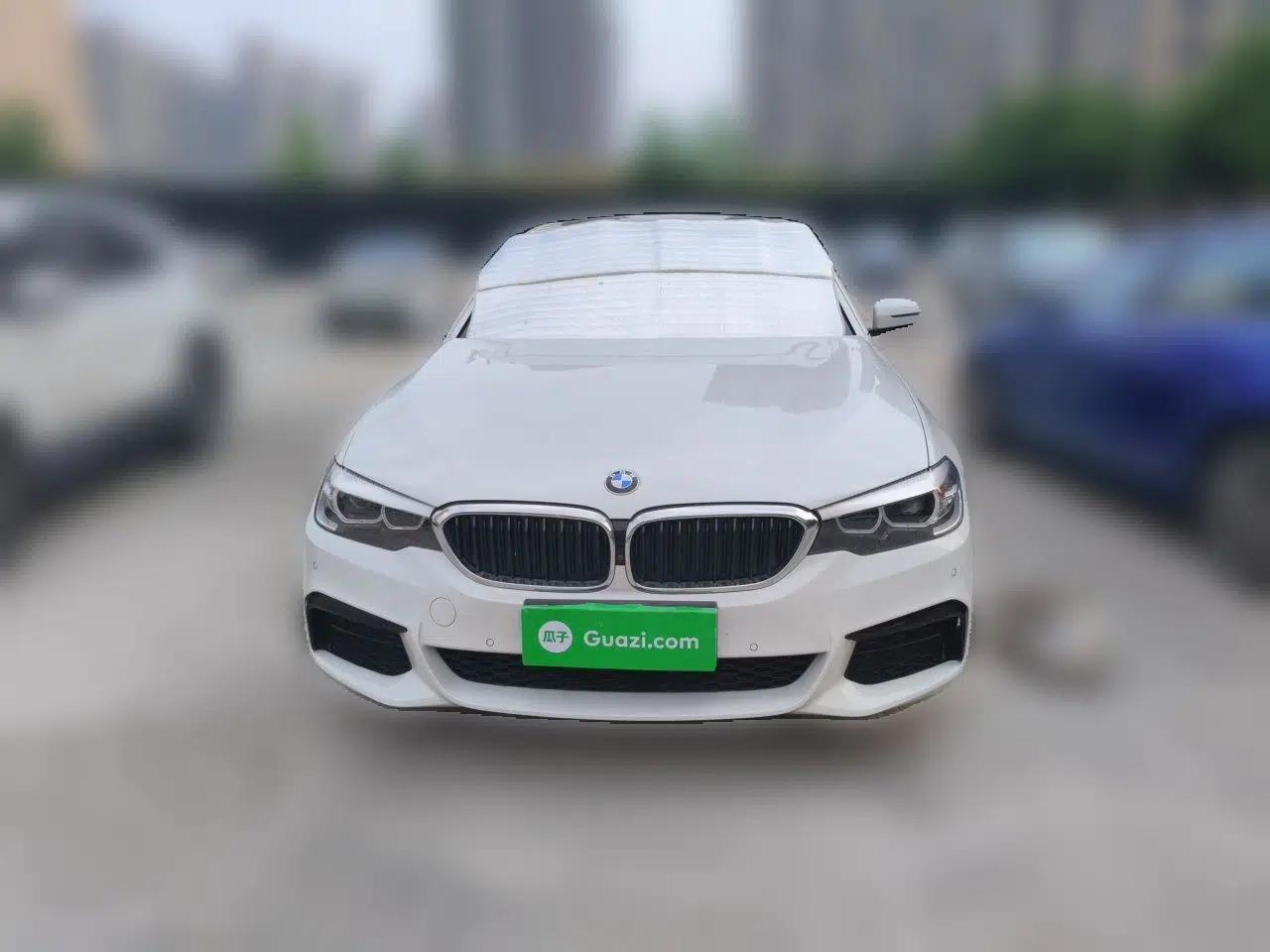 BMW 5 Series 2019 Facelifted 530Li Leading Edition M Sport Package — миниатюра 2