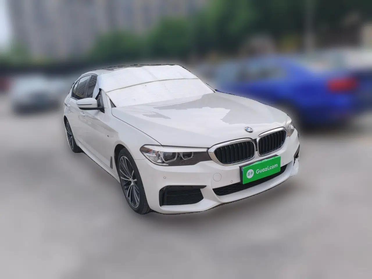 BMW 5 Series 2019 Facelifted 530Li Leading Edition M Sport Package — миниатюра 3