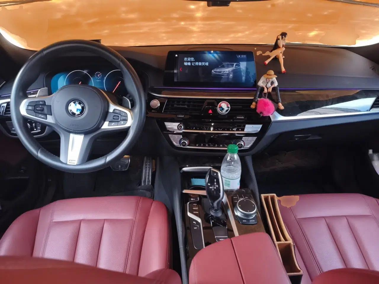 BMW 5 Series 2019 Facelifted 530Li Leading Edition M Sport Package — миниатюра 9