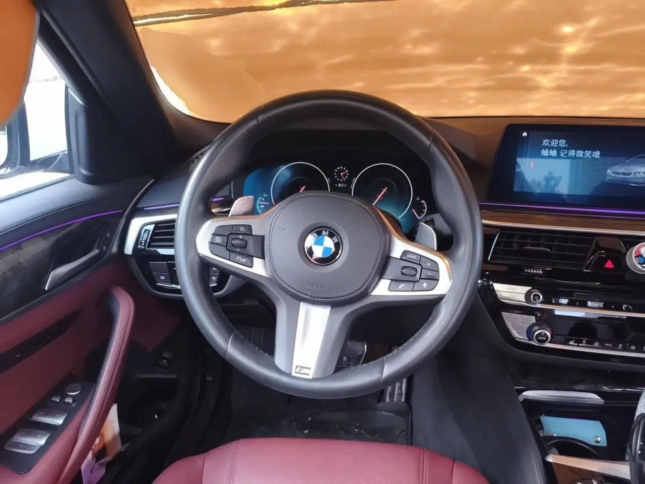 BMW 5 Series 2019 Facelifted 530Li Leading Edition M Sport Package — миниатюра 10