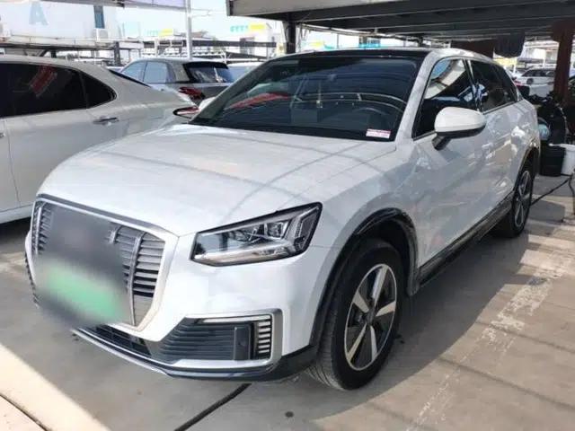 Audi Q2L e-tron 2019 Q2L e-tron Pure Electric Smart Enjoyment Model
