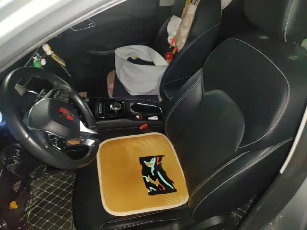 Roewe Ei5 2019 Luxury Edition — миниатюра 8