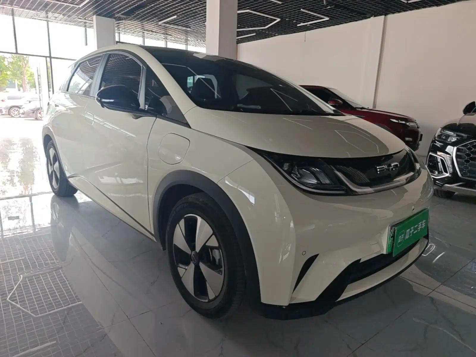 BYD Dolphin 2023 420 km Fashion Edition — миниатюра 3