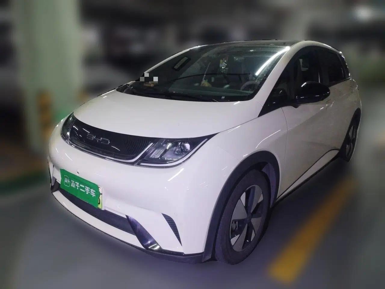 BYD Dolphin 2023 420 km Fashion Edition — миниатюра 1