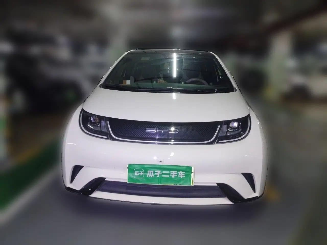BYD Dolphin 2023 420 km Fashion Edition — миниатюра 2