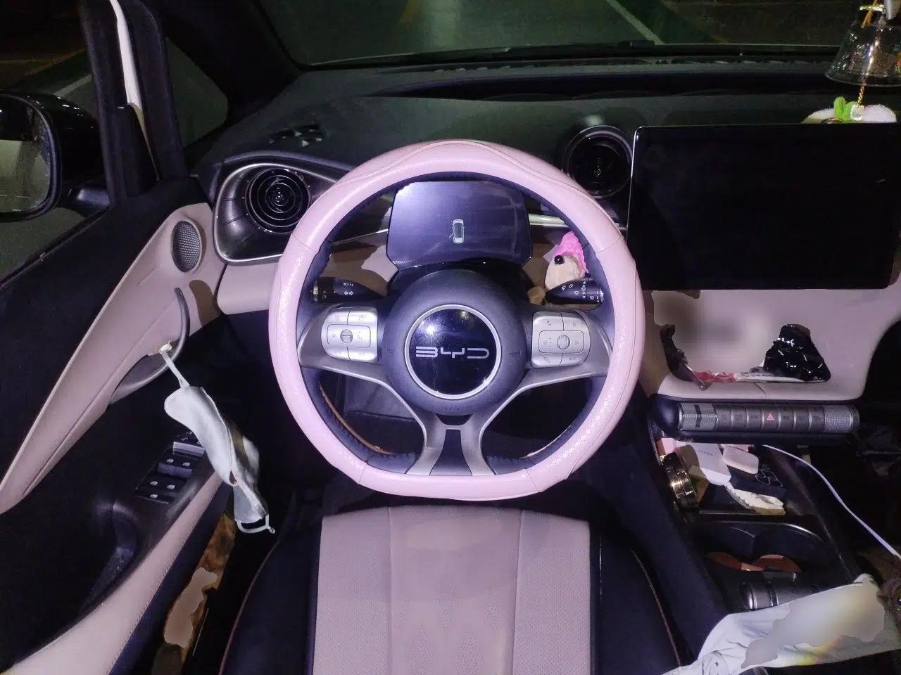 BYD Dolphin 2023 420 km Fashion Edition — миниатюра 10