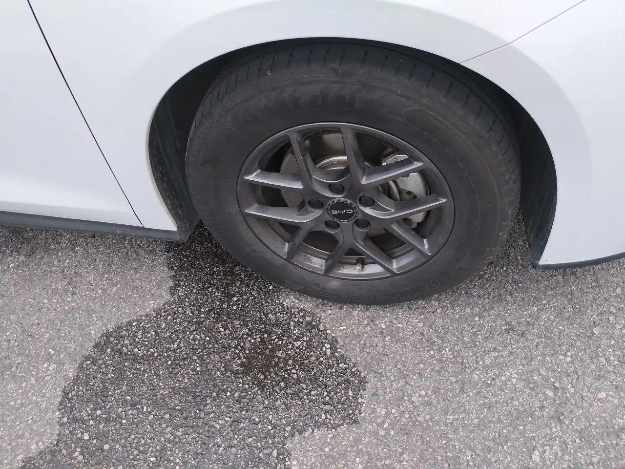 BYD Seal 06 New Energy 2024 DM-i 80KM Luxury Model — миниатюра 5