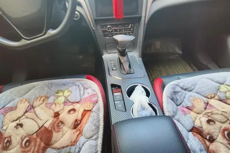 Venucia D60 2019 1.6L XL CVT Intelligent Elite Edition — миниатюра 15
