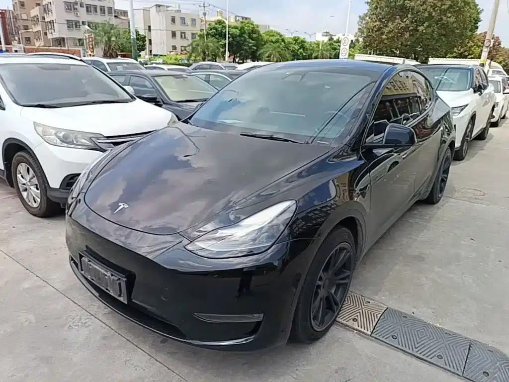 Model Y 2021 Standard Range Rear-Wheel Drive — миниатюра 1