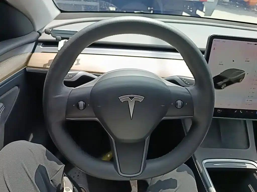 Model Y 2021 Standard Range Rear-Wheel Drive — миниатюра 11