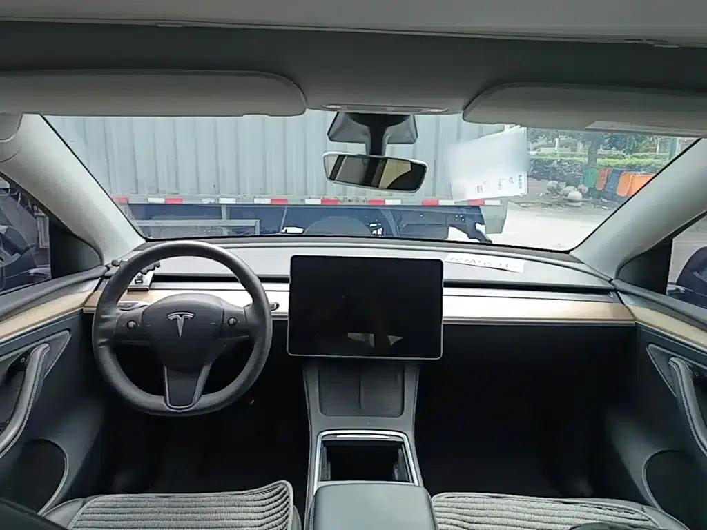 Model Y 2021 Standard Range Rear-Wheel Drive — миниатюра 10
