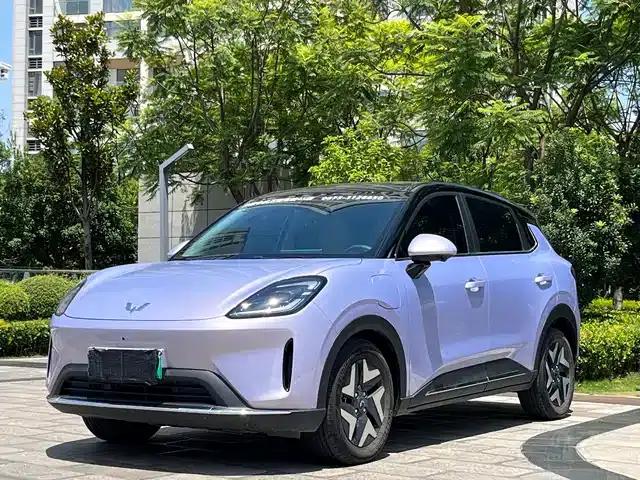Bingo S 2025 Flagship Model 430km