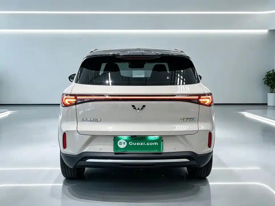 Bingo S 2025 Model 325km Premium Edition — миниатюра 6