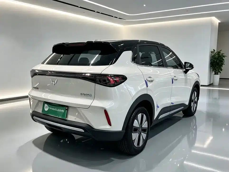 Bingo S 2025 Model 325km Premium Edition — миниатюра 7