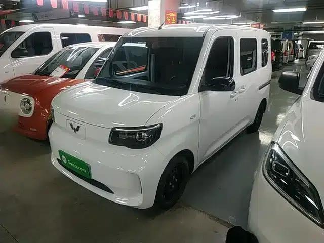 Wuling Sunshine New Energy 2025 Model 201km Standard Edition