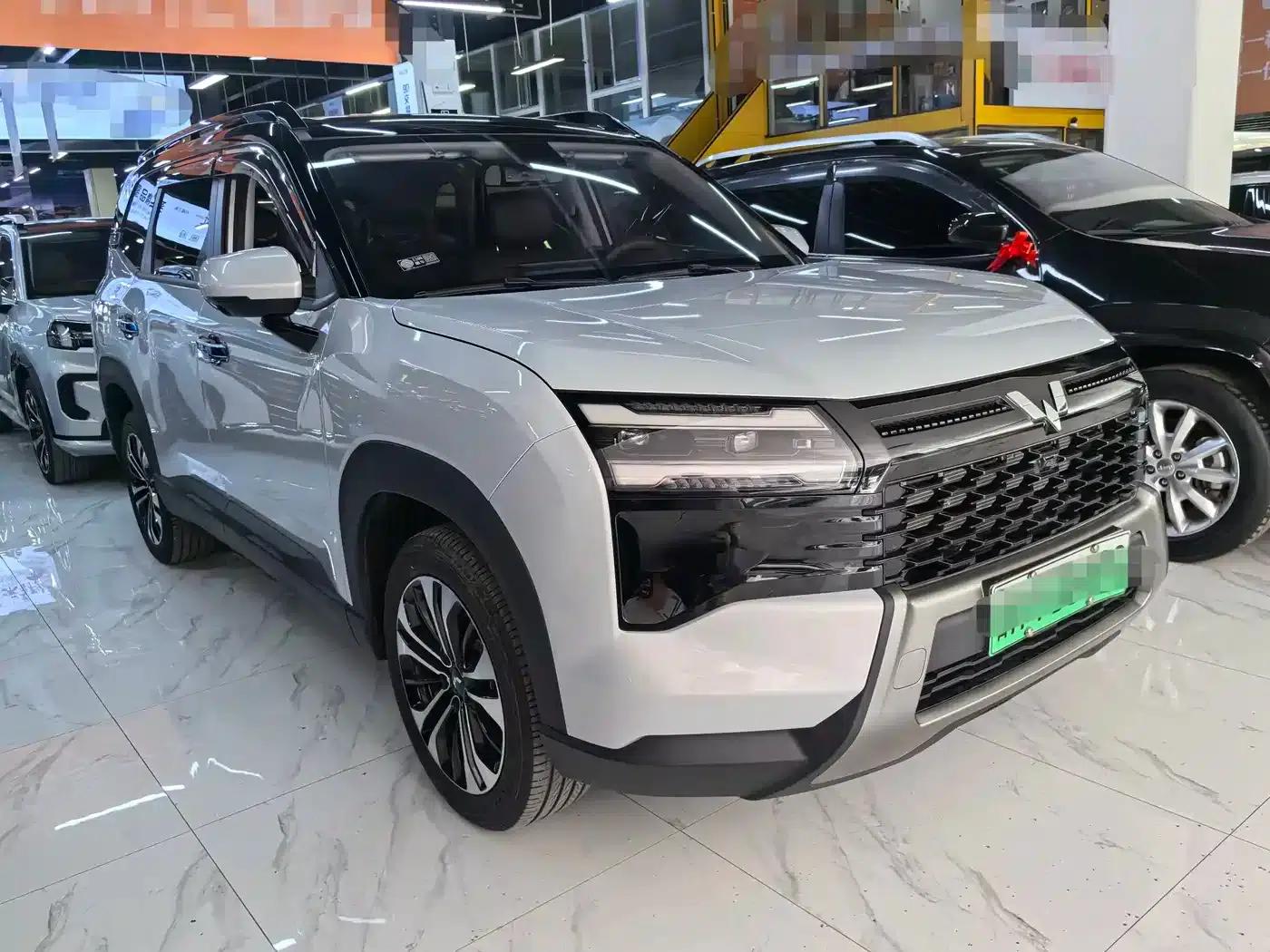 Starlight 560 New Energy 2026 Plug-in Hybrid 125km/h Luxury Model — миниатюра 3