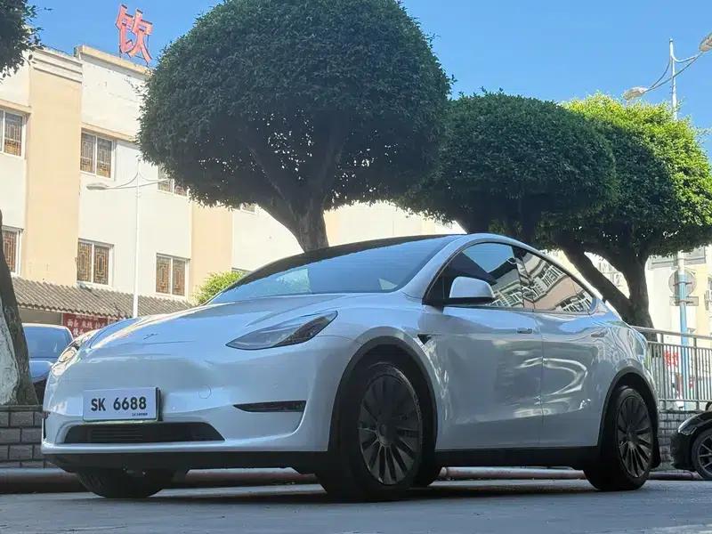 Model Y 2021 Standard Range Rear-Wheel Drive — миниатюра 1