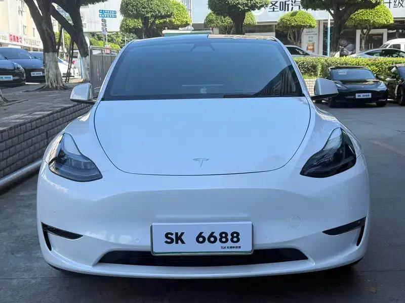 Model Y 2021 Standard Range Rear-Wheel Drive — миниатюра 2
