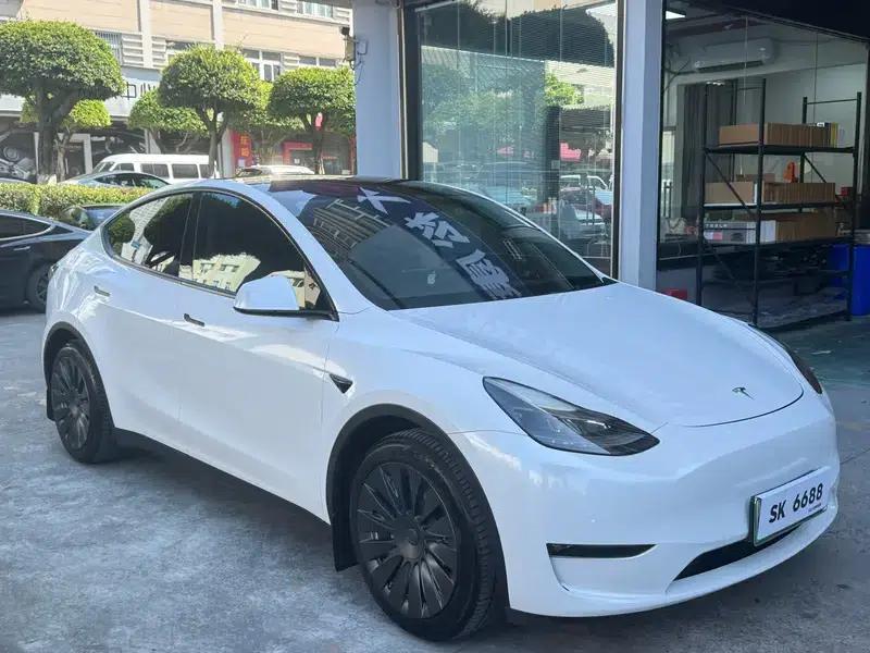 Model Y 2021 Standard Range Rear-Wheel Drive — миниатюра 3