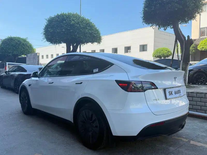 Model Y 2021 Standard Range Rear-Wheel Drive — миниатюра 5