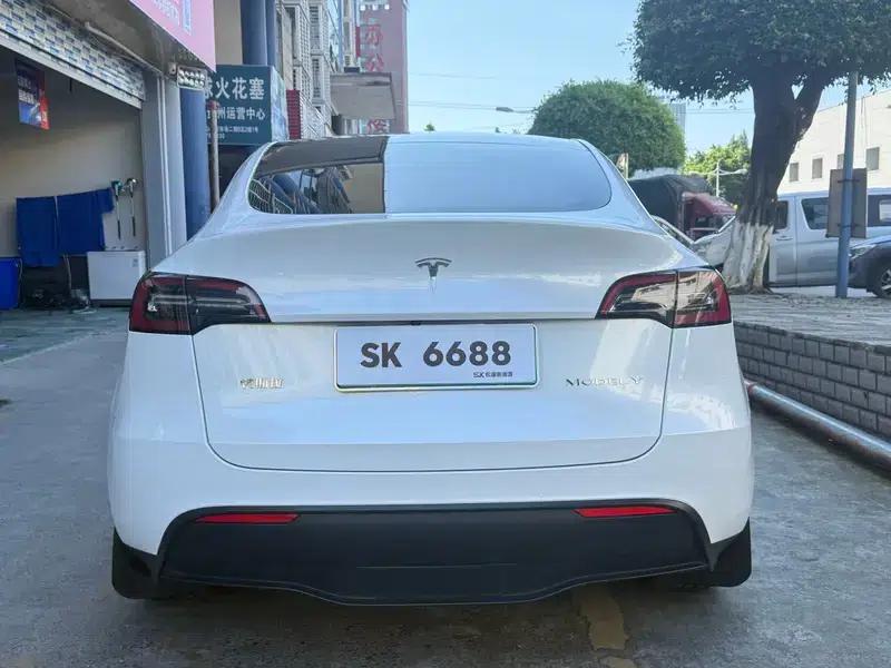 Model Y 2021 Standard Range Rear-Wheel Drive — миниатюра 6