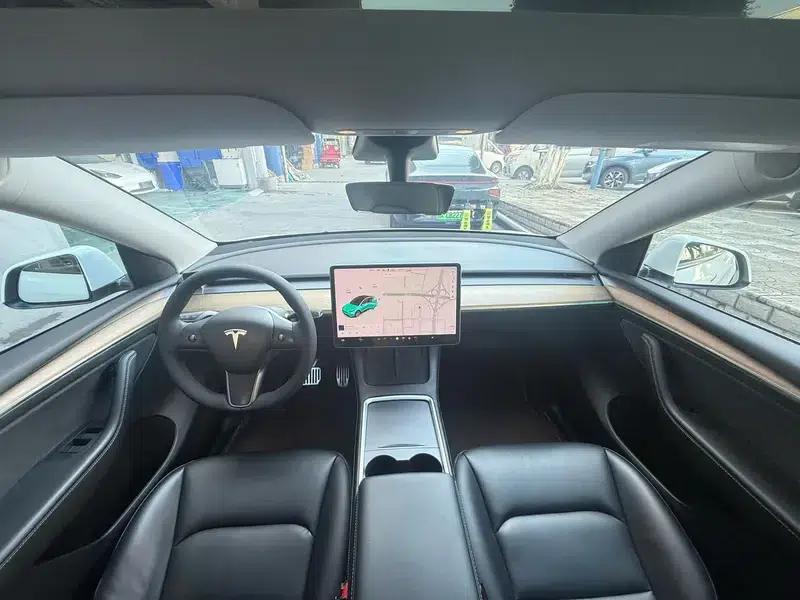 Model Y 2021 Standard Range Rear-Wheel Drive — миниатюра 10