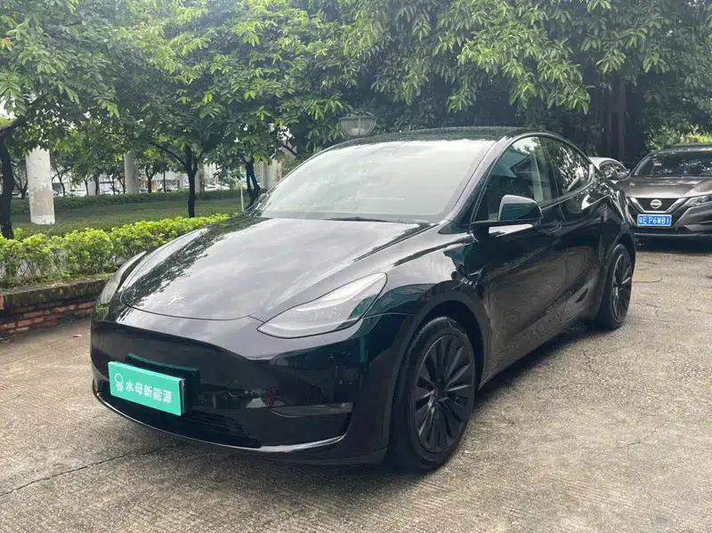 Model Y 2021 Standard Range Rear-Wheel Drive — миниатюра 1