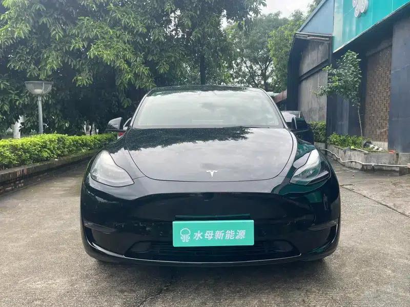 Model Y 2021 Standard Range Rear-Wheel Drive — миниатюра 2