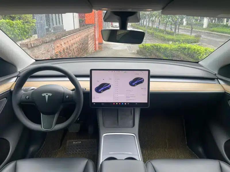 Model Y 2021 Standard Range Rear-Wheel Drive — миниатюра 11