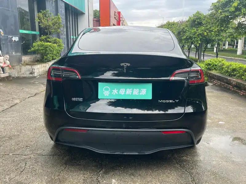 Model Y 2021 Standard Range Rear-Wheel Drive — миниатюра 6